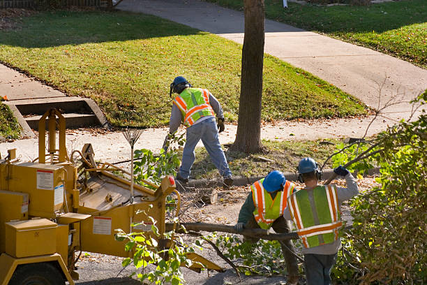 Soil Testing and Treatment in Pierson, FL